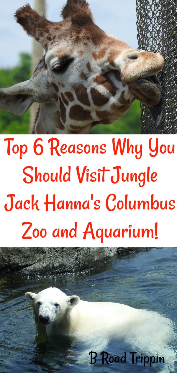 Top Six Reasons Why You Should Visit Jungle Jack Hanna’s Columbus Zoo and Aquarium!